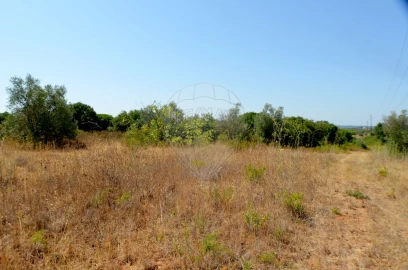 Terreno para Venda em Almoster