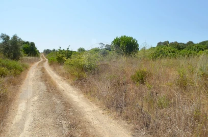 Terreno para Venda em Almoster