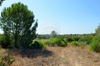 Terreno para Venda em Almoster