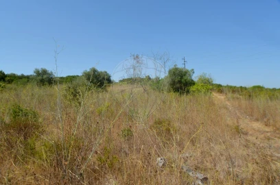 Terreno para Venda em Almoster