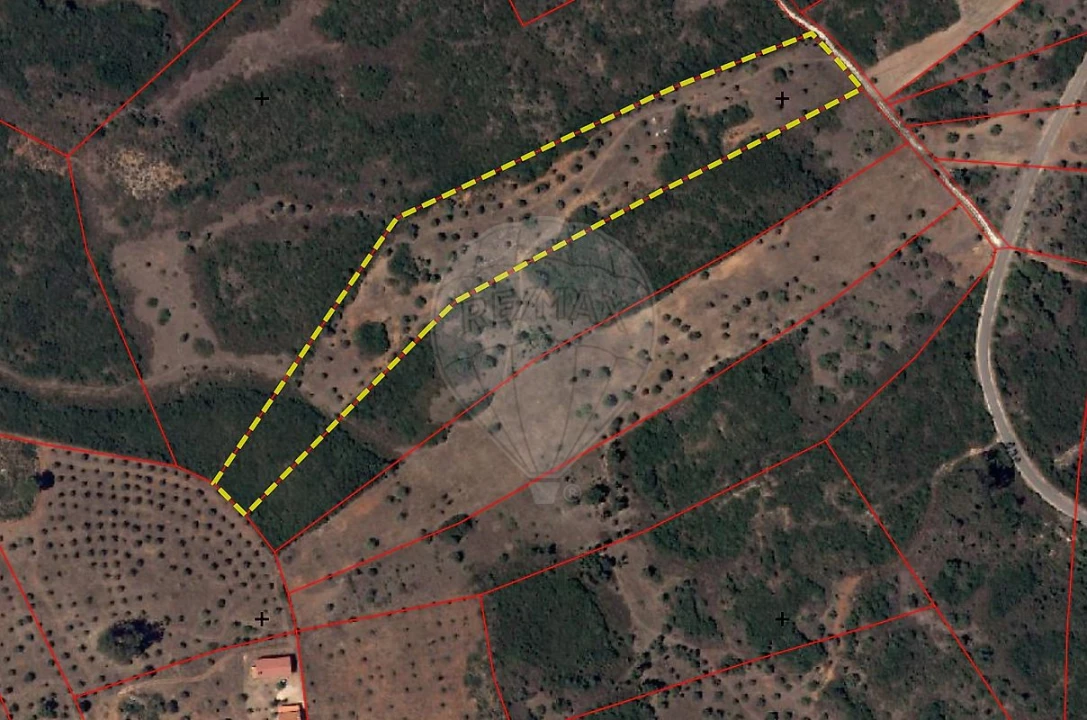 Terreno para Venda em Almoster Foto 16