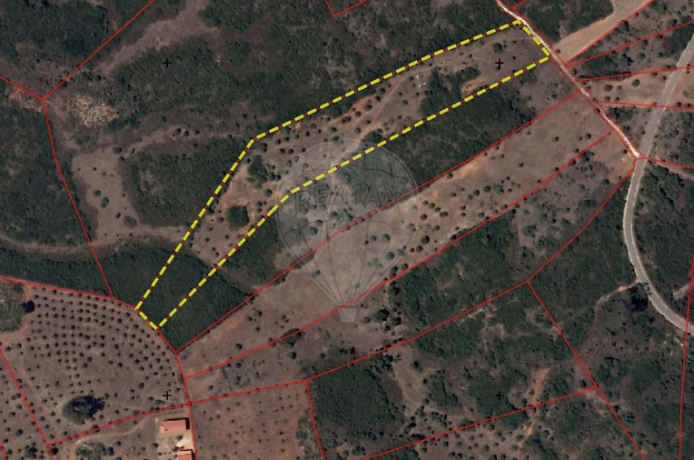 Terreno para Venda em Almoster Foto 16