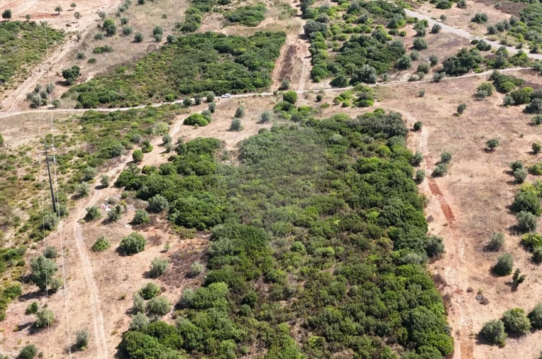 Terreno para Venda em Almoster Foto 17