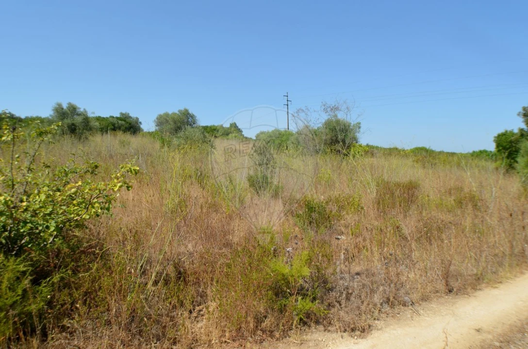 Terreno para Venda em Almoster Foto 3