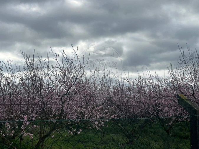 Quinta T2 para Venda em Poceirão e Marateca Foto 6
