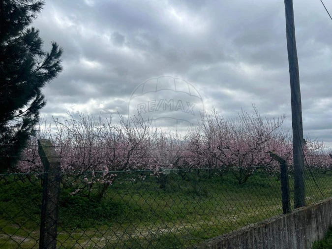 Quinta T2 para Venda em Poceirão e Marateca Foto 5