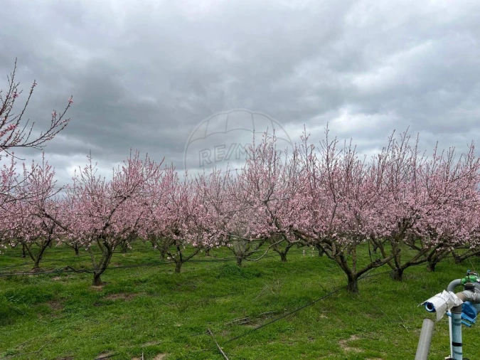 Quinta T2 para Venda em Poceirão e Marateca Foto 9