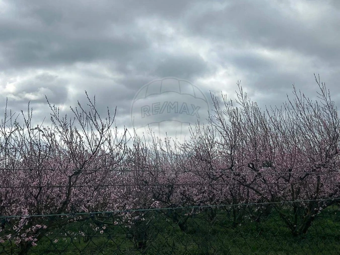 Quinta T2 para Venda em Poceirão e Marateca Foto 4