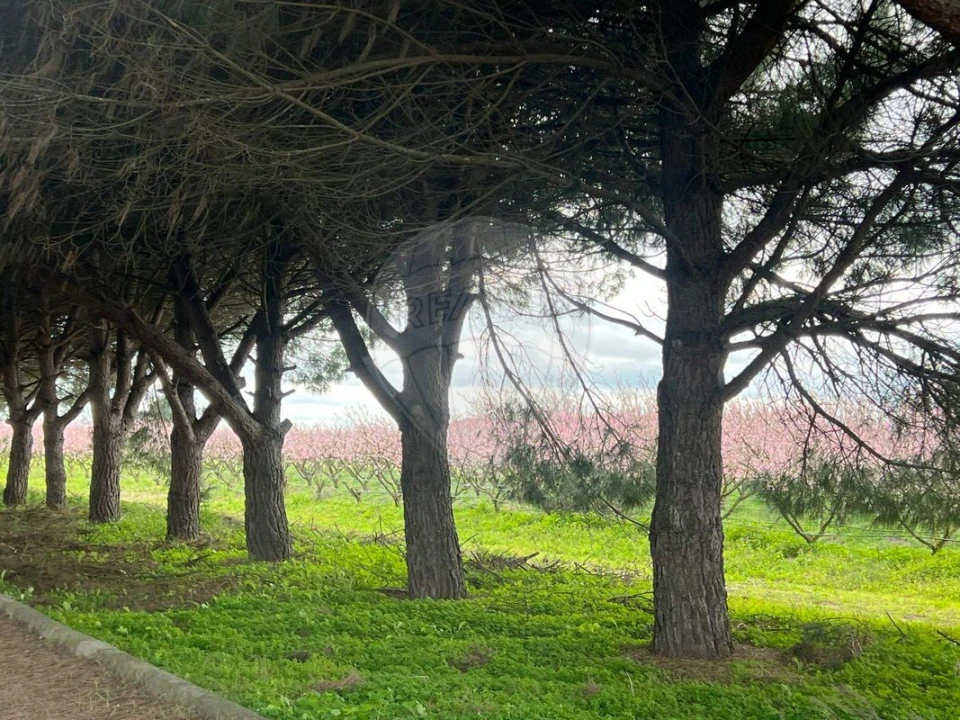 Quinta T2 para Venda em Poceirão e Marateca Foto 18