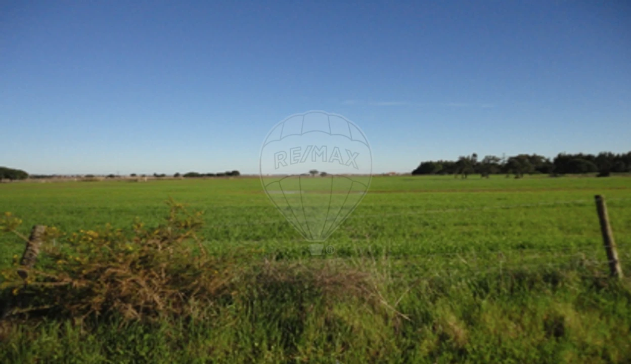 Terreno para Venda em Poceirão e Marateca Foto 5