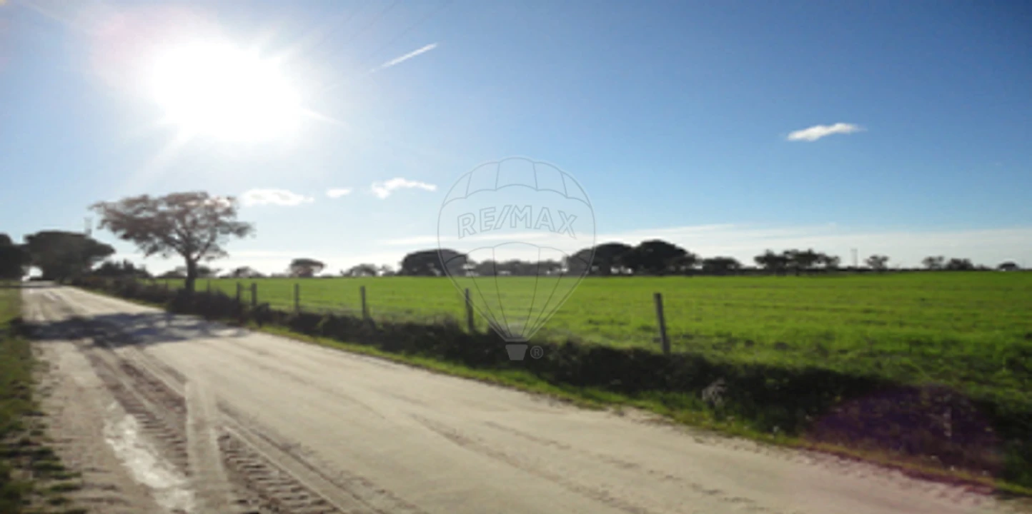 Terreno para Venda em Poceirão e Marateca Foto 3