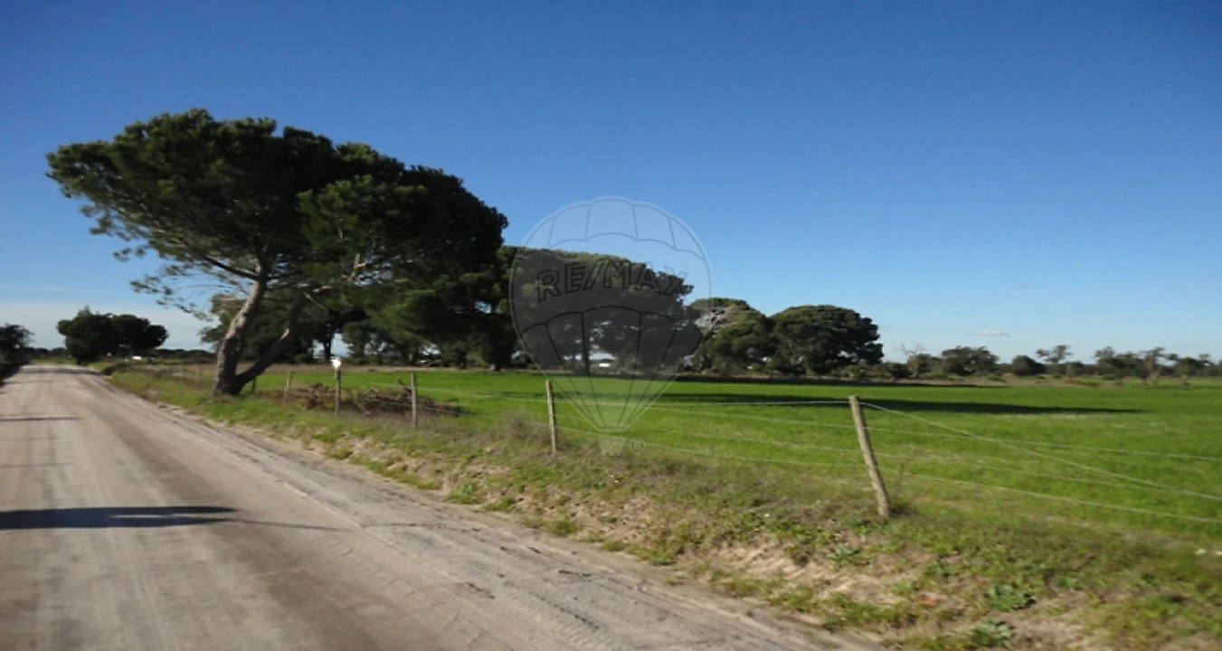 Terreno para Venda em Poceirão e Marateca Foto 7