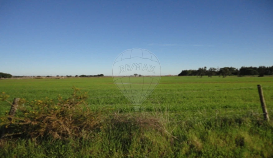 Terreno para Venda em Poceirão e Marateca Foto 5