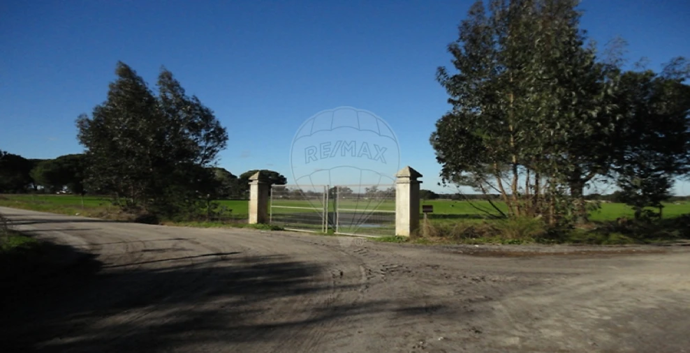 Terreno para Venda em Poceirão e Marateca