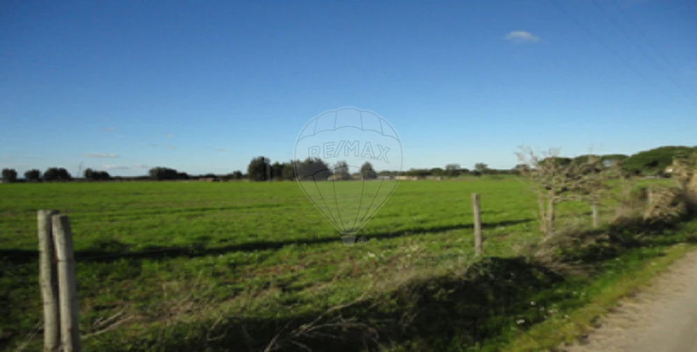 Terreno para Venda em Poceirão e Marateca Foto 2