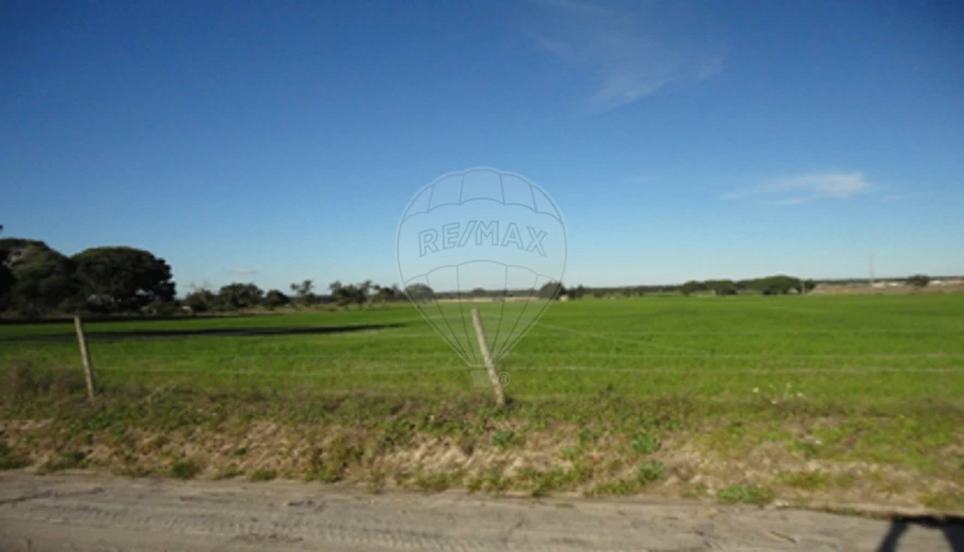 Terreno para Venda em Poceirão e Marateca Foto 4