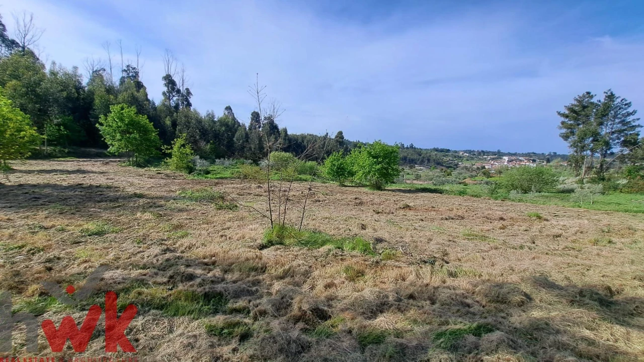Moradia T3 para Venda em Lagos da Beira e Lajeosa Foto 15