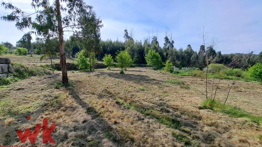 Moradia T3 para Venda em Lagos da Beira e Lajeosa Foto 13