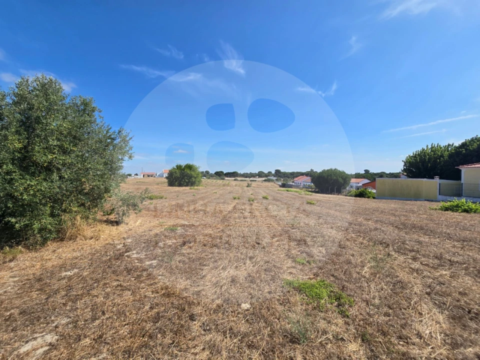 Terreno Agricola ou Rústico para Venda em Gambia-Pontes-Alto da Guerra Foto 4