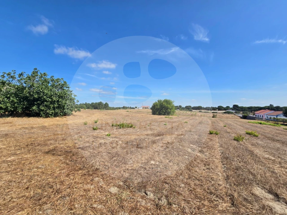 Terreno Agricola ou Rústico para Venda em Gambia-Pontes-Alto da Guerra Foto 5