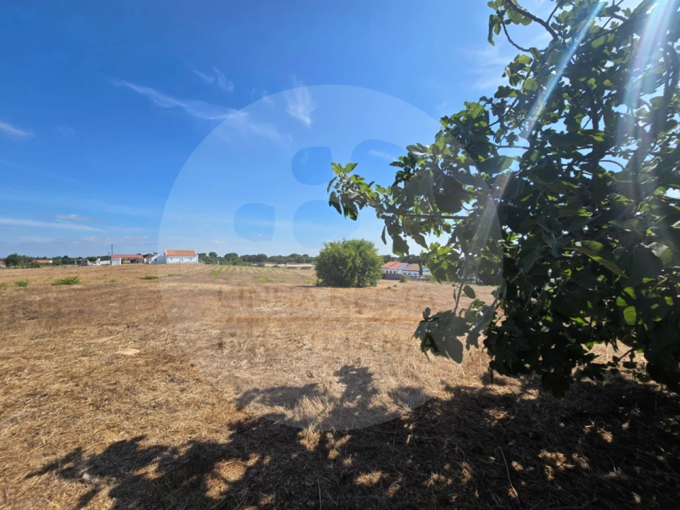 Terreno Agricola ou Rústico para Venda em Gambia-Pontes-Alto da Guerra Foto 14