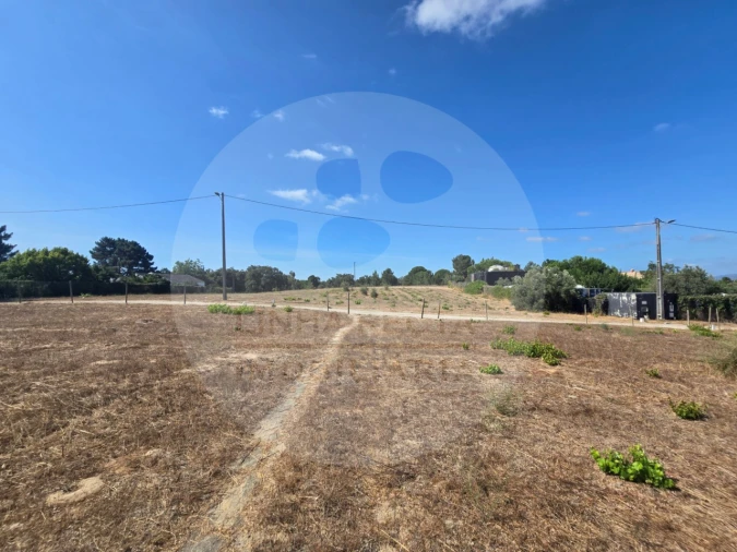Terreno Agricola ou Rústico para Venda em Gambia-Pontes-Alto da Guerra Foto 1