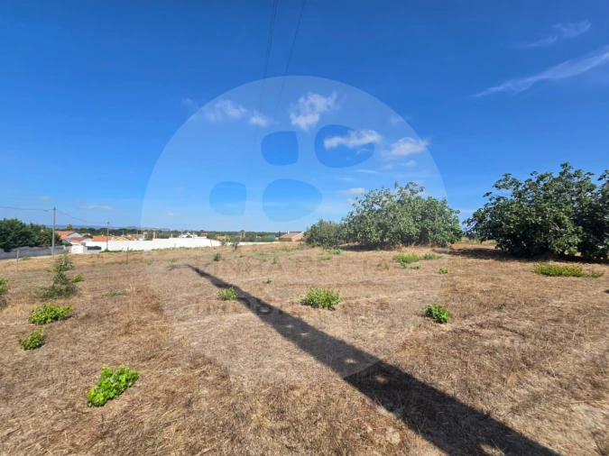 Terreno Agricola ou Rústico para Venda em Gambia-Pontes-Alto da Guerra Foto 3