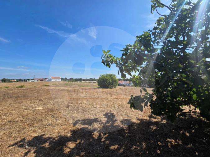 Terreno Agricola ou Rústico para Venda em Gambia-Pontes-Alto da Guerra Foto 14