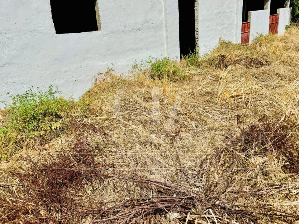 Moradia T4 para Venda em Crato e Mártires, Flor da Rosa e Vale do Peso Foto 51