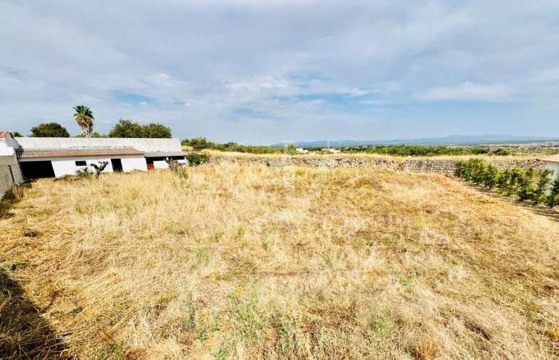 Moradia T4 para Venda em Crato e Mártires, Flor da Rosa e Vale do Peso Foto 48