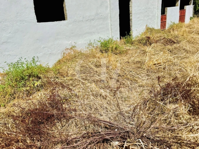 Moradia T4 para Venda em Crato e Mártires, Flor da Rosa e Vale do Peso Foto 51