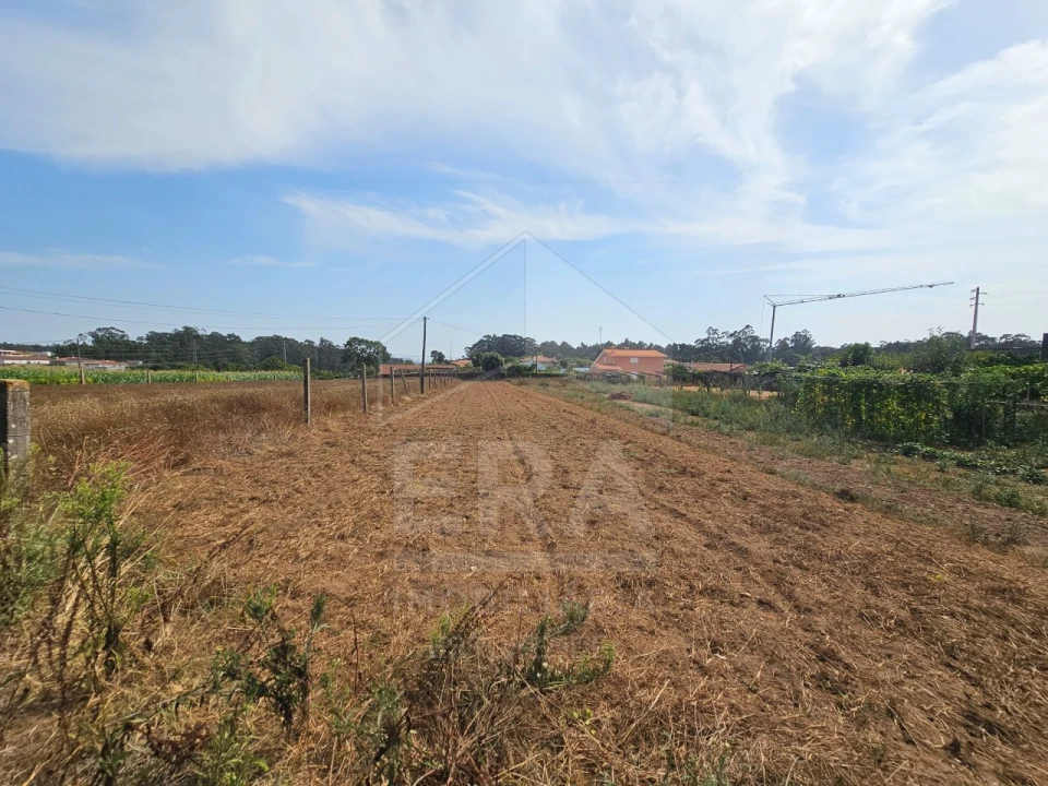 Terreno para Venda em Palmeira de Faro e Curvos Foto 1