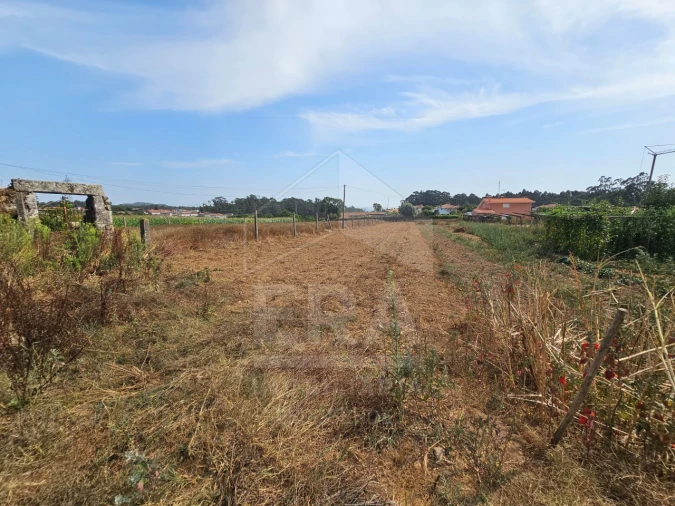 Terreno para Venda em Palmeira de Faro e Curvos Foto 2