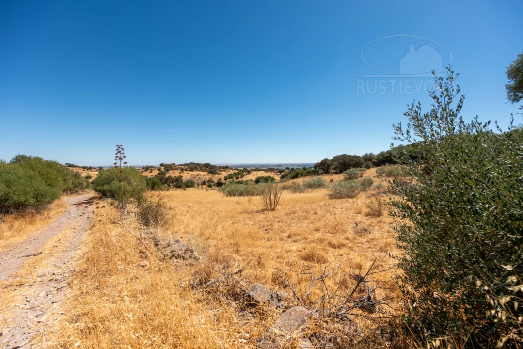 Quinta T3 para Venda em Monsaraz Foto 9