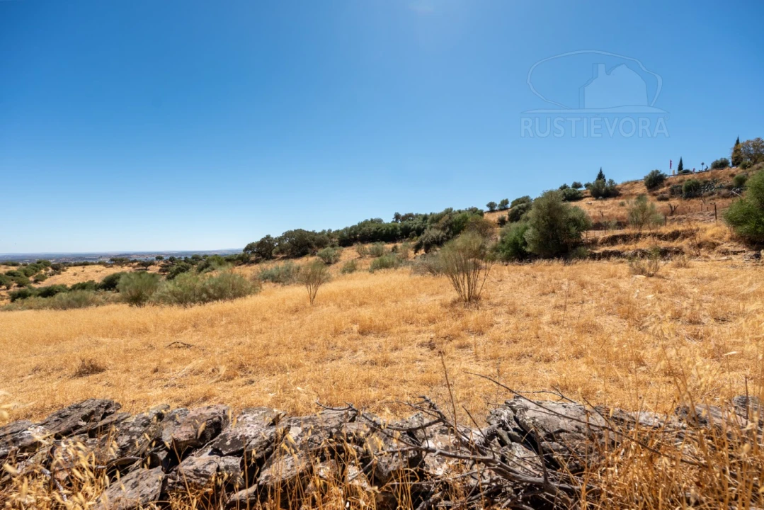 Quinta T3 para Venda em Monsaraz Foto 12