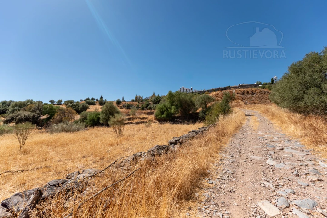 Quinta T3 para Venda em Monsaraz Foto 21