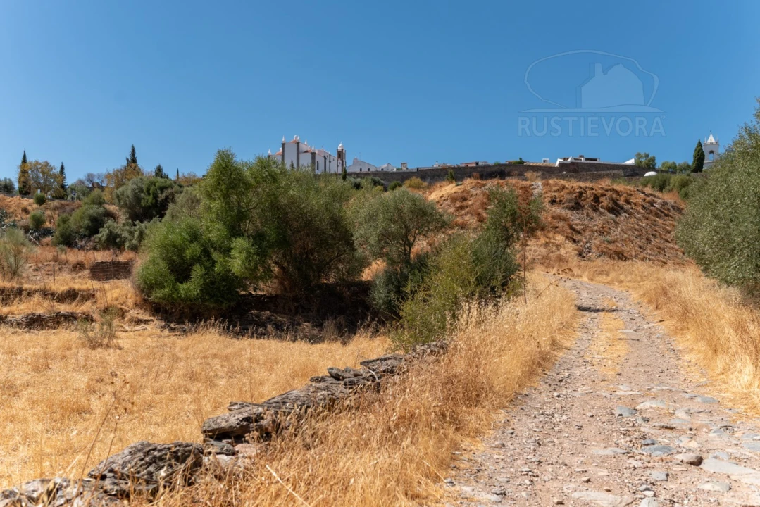 Quinta T3 para Venda em Monsaraz Foto 23