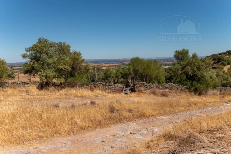 Quinta T3 para Venda em Monsaraz Foto 16