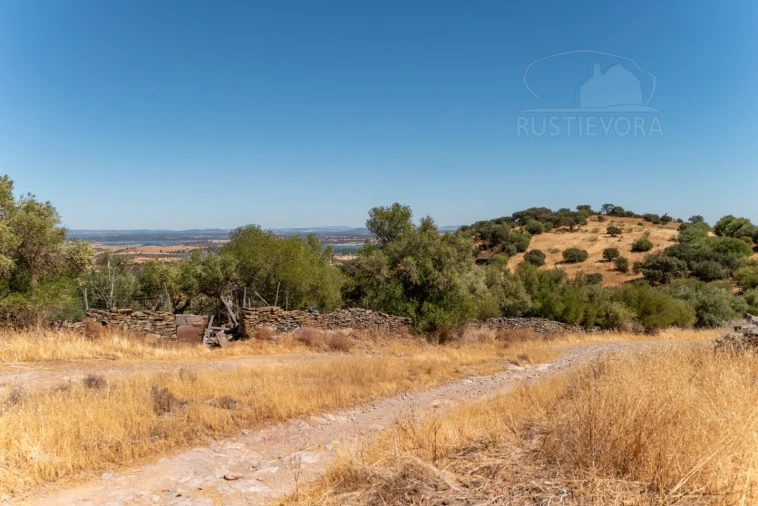 Quinta T3 para Venda em Monsaraz Foto 17