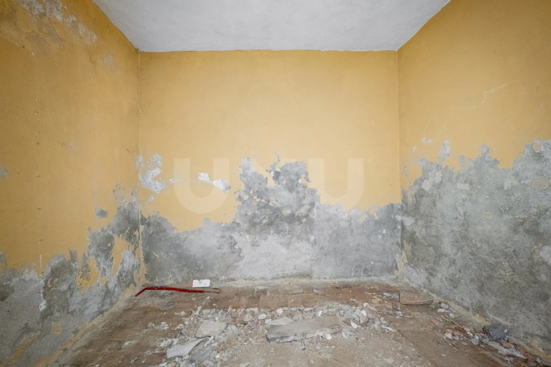 Moradia T4 para Venda em Estremoz (Santa Maria e Santo André) Foto 9