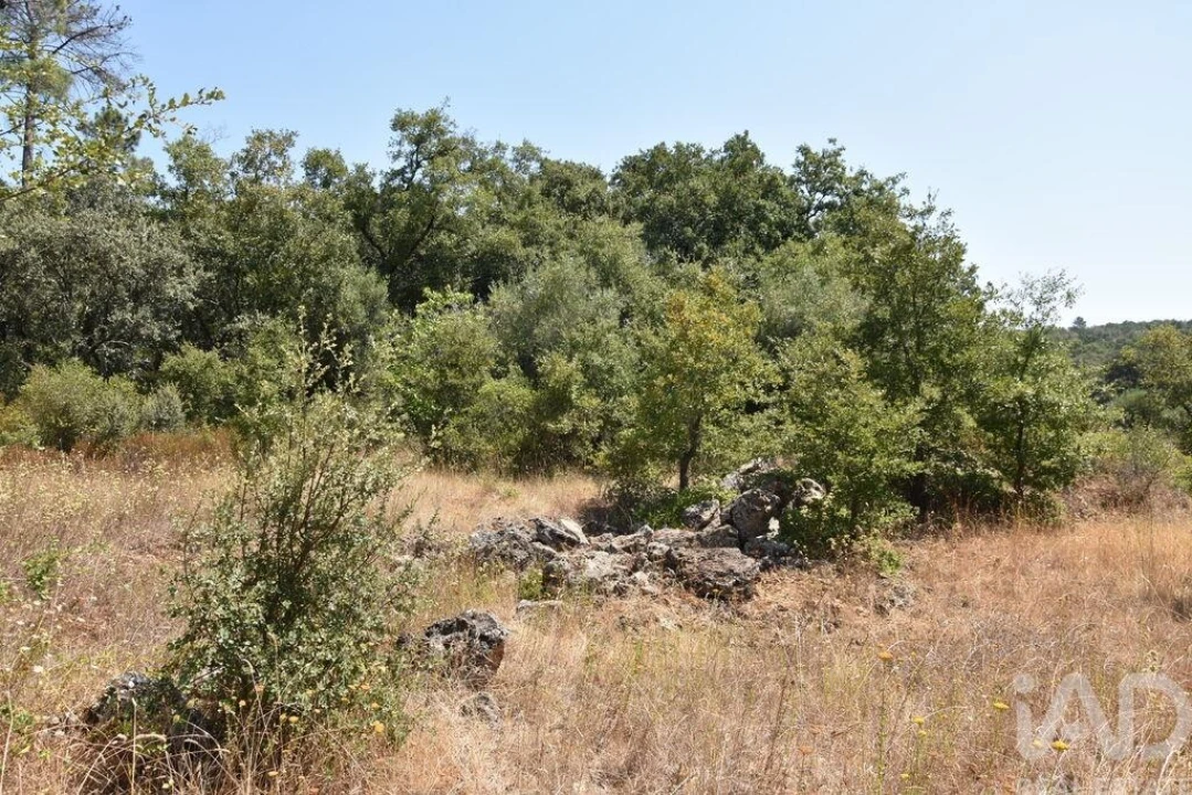 Terreno para Venda em Chãos Foto 21