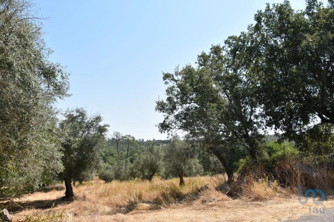 Terreno para Venda em Chãos Foto 13