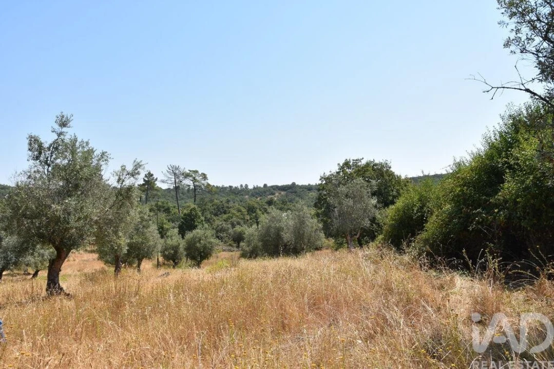 Terreno para Venda em Chãos Foto 15