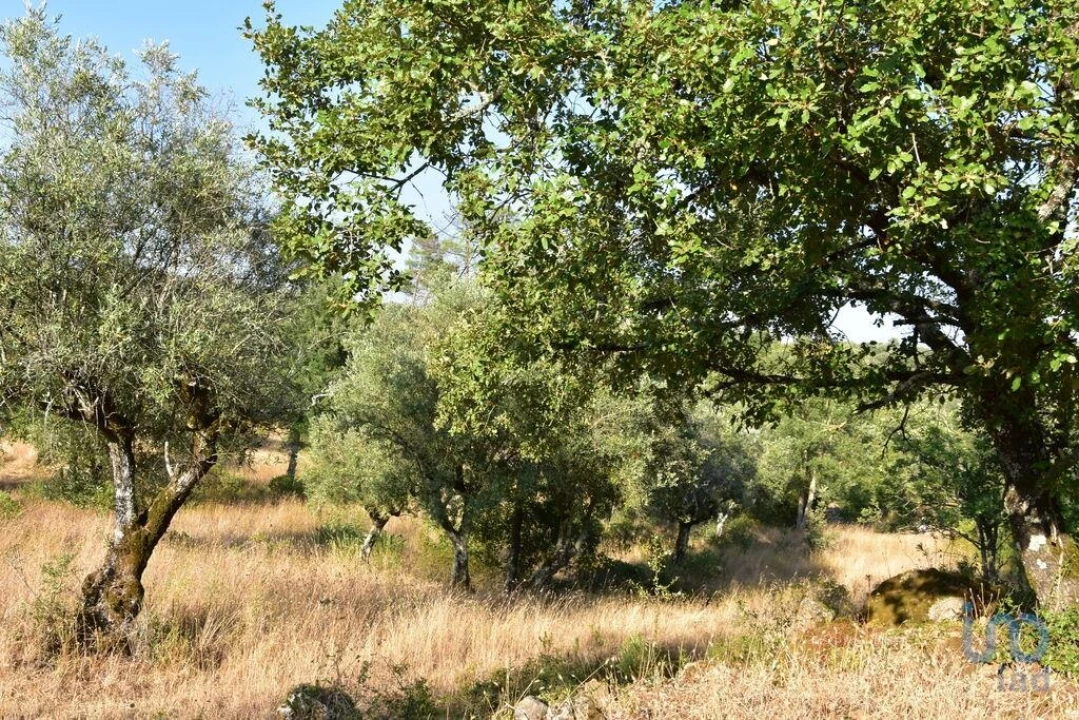 Terreno para Venda em Chãos Foto 4