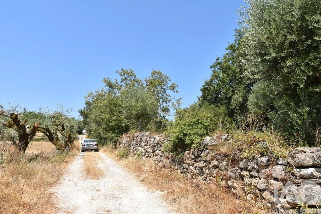 Terreno para Venda em Chãos Foto 29