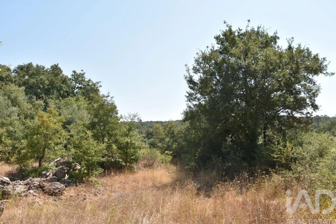 Terreno para Venda em Chãos Foto 20