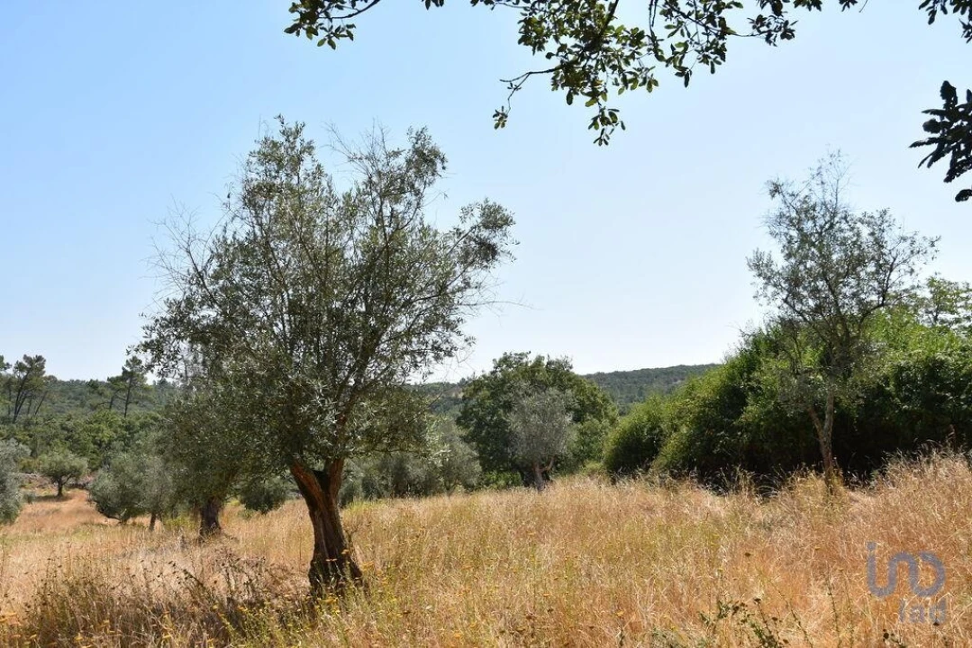 Terreno para Venda em Chãos Foto 14