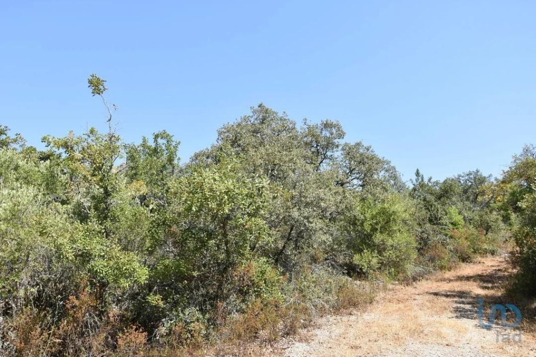 Terreno para Venda em Chãos Foto 12