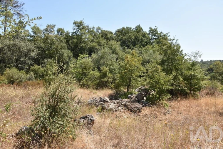 Terreno para Venda em Chãos Foto 21