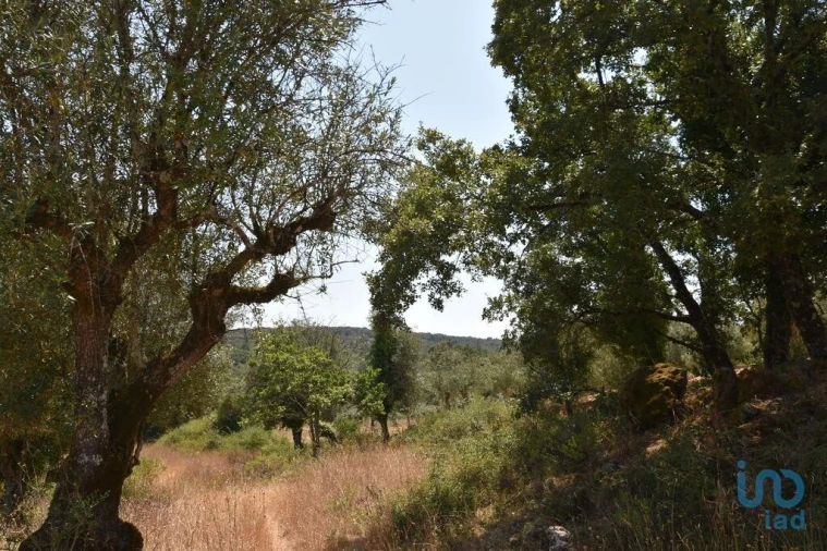Terreno para Venda em Chãos Foto 1